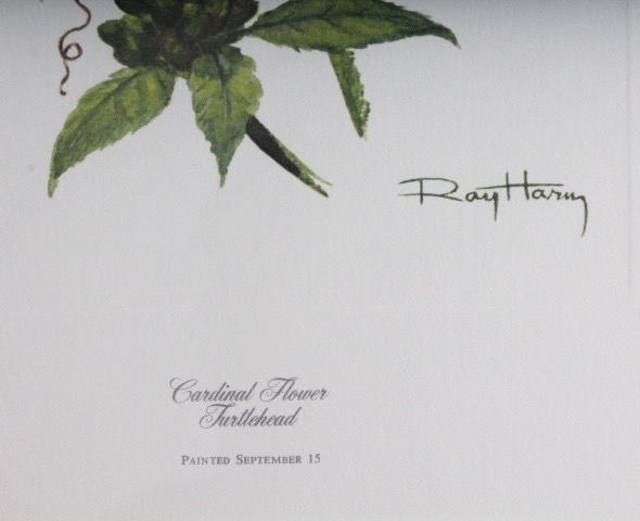 Collection of Six Ray Harm Wildflower Prints and Handcrafted Textile Art