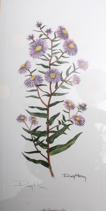 Collection of Six Ray Harm Wildflower Prints and Handcrafted Textile Art