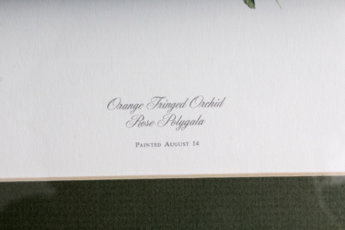 Collection of Six Ray Harm Wildflower Prints and Handcrafted Textile Art