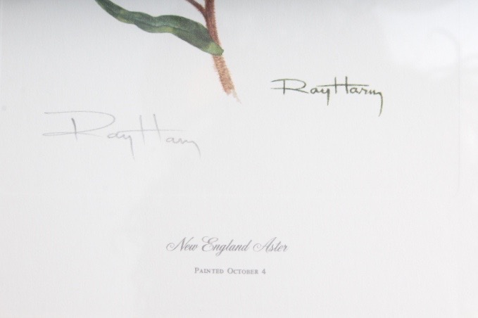 Collection of Six Ray Harm Wildflower Prints and Handcrafted Textile Art