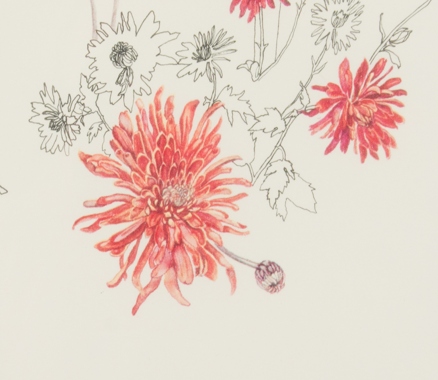 Millicent Tompkins Print