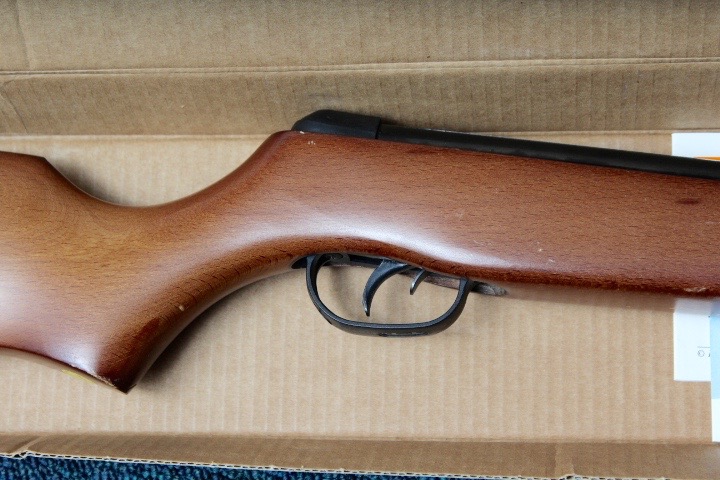 Gamo Expo-26 Pellet Gun