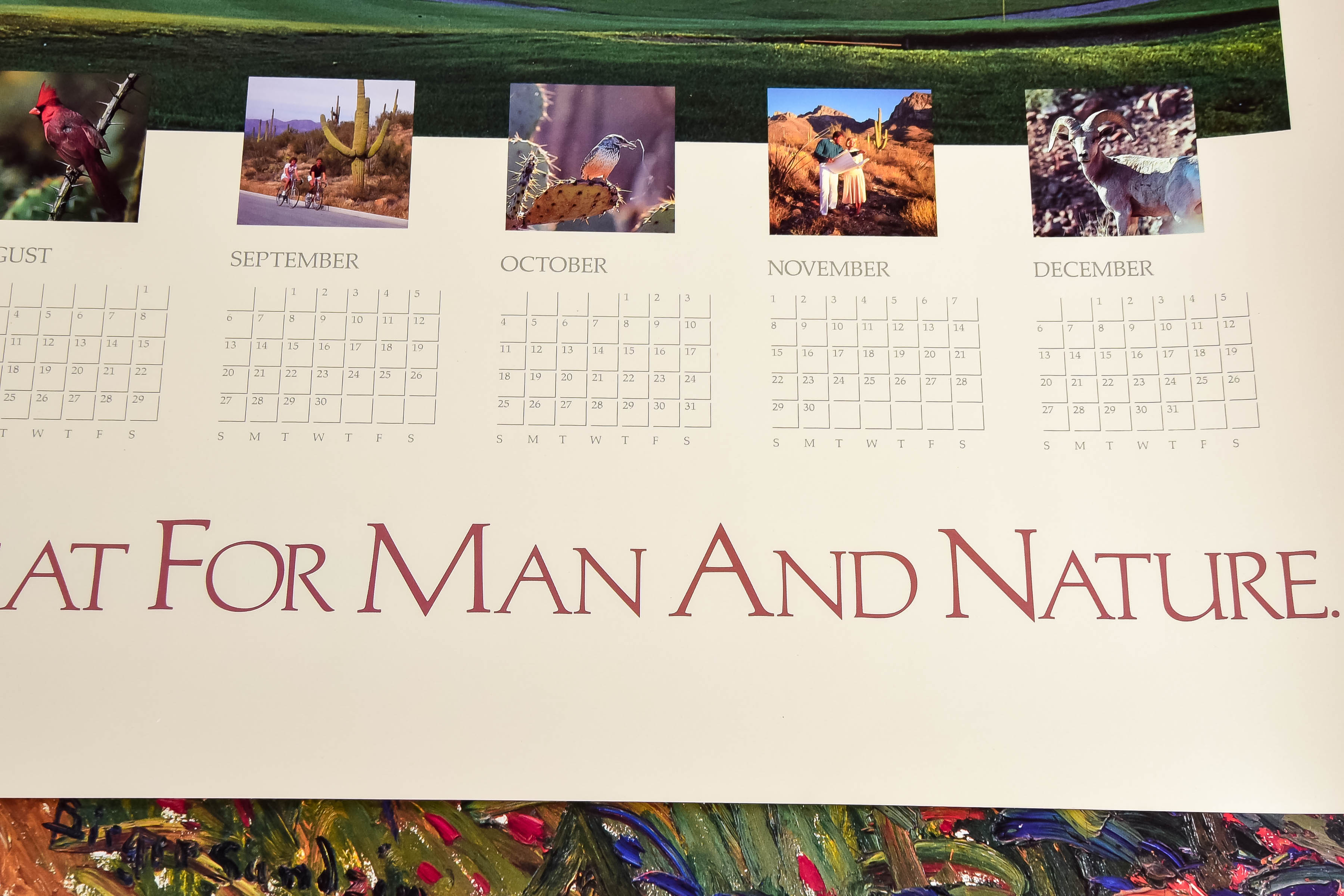 Assortment of Gallery Posters