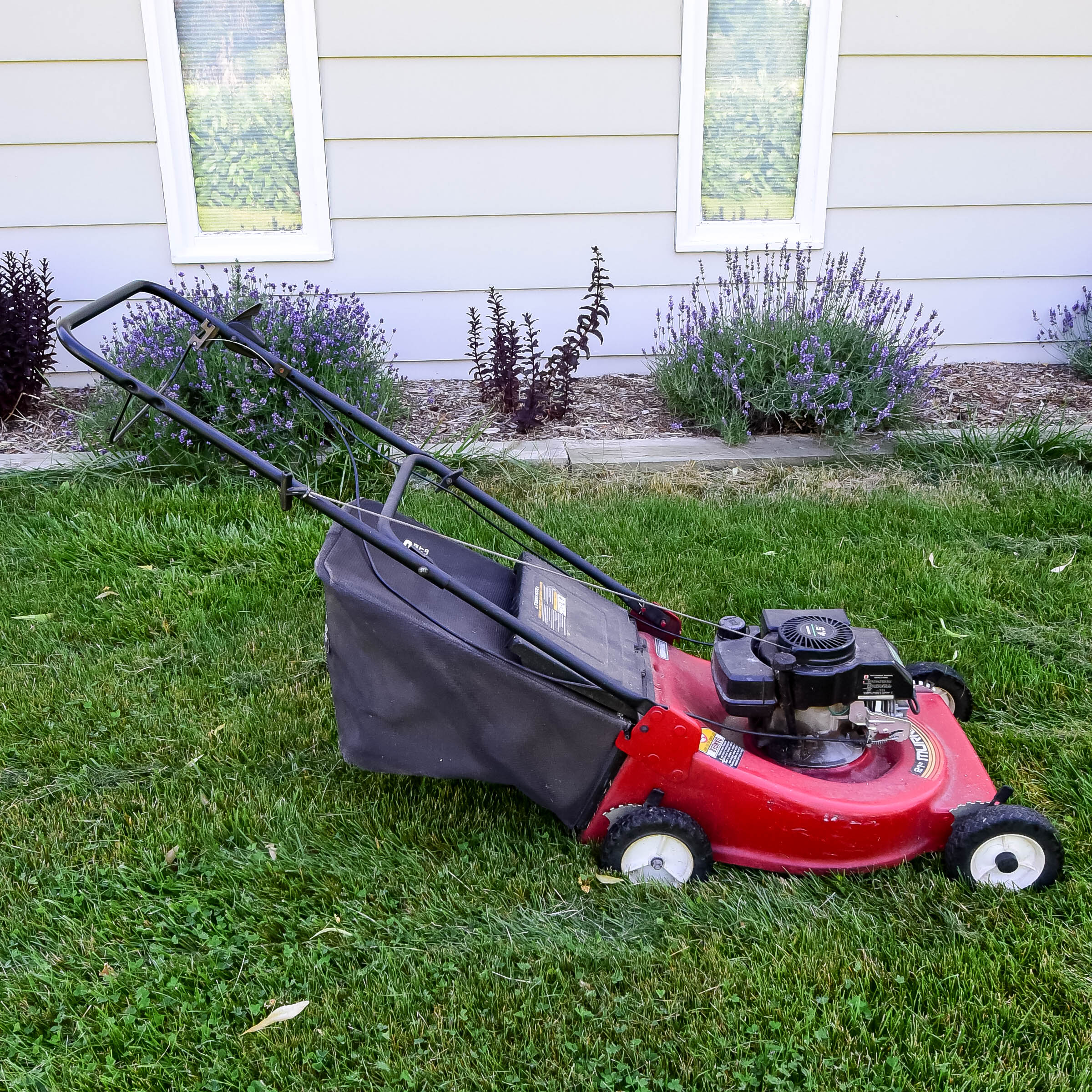 Murray 21" Push Mower