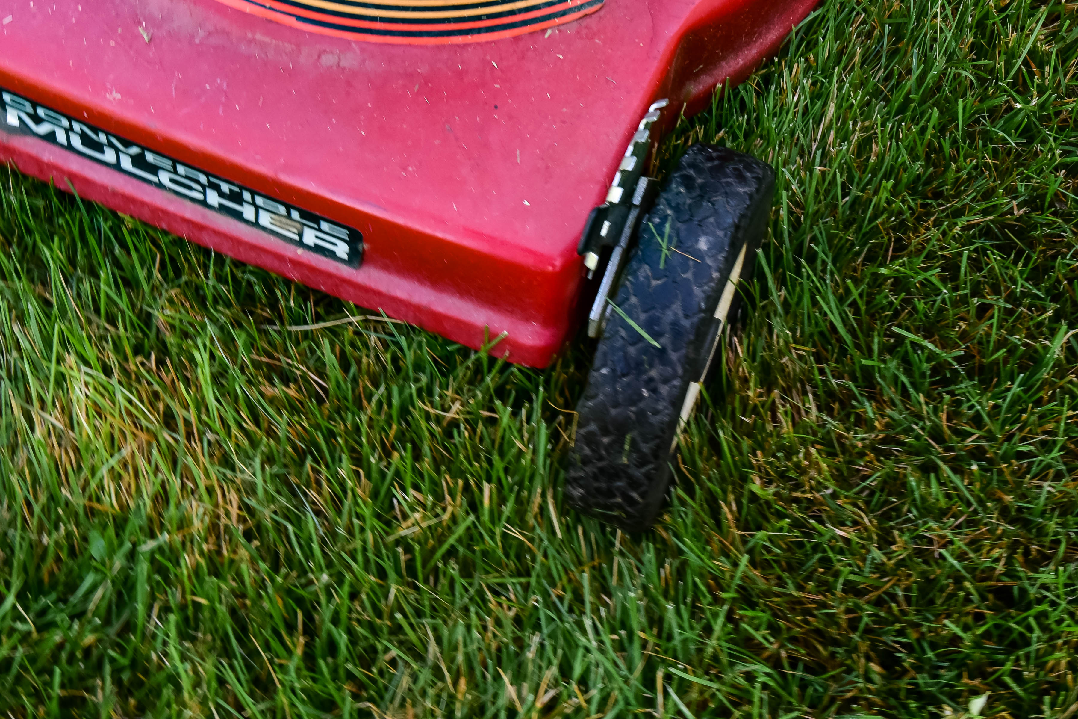 Murray 21" Push Mower