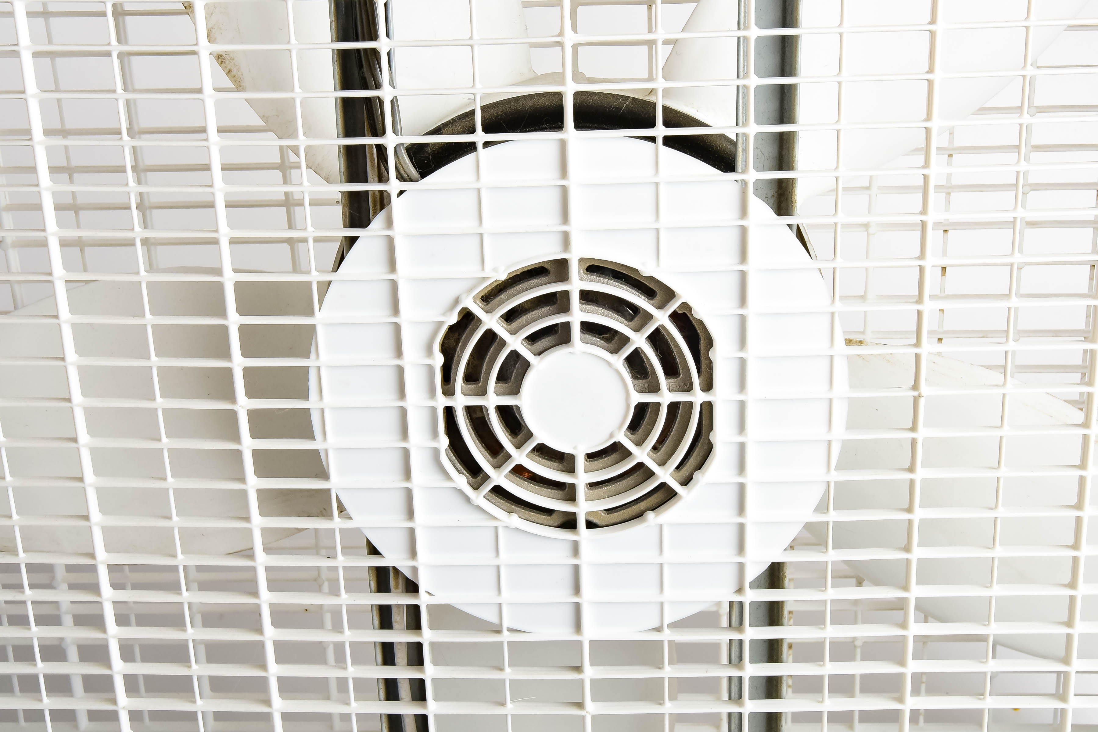 Lasko Box Fan and Cuori Space Heater