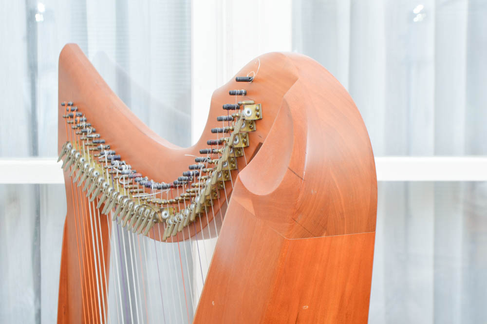 Triplett Harps Catalina Deluxe 34 String Harp