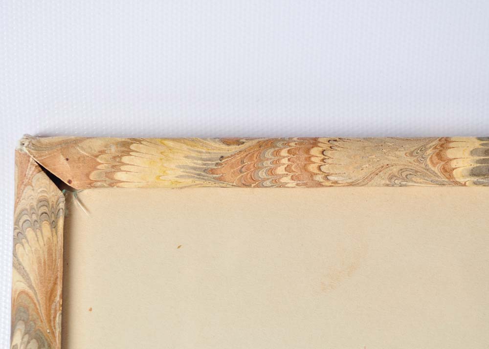 Framed Giclee Prints of Birds