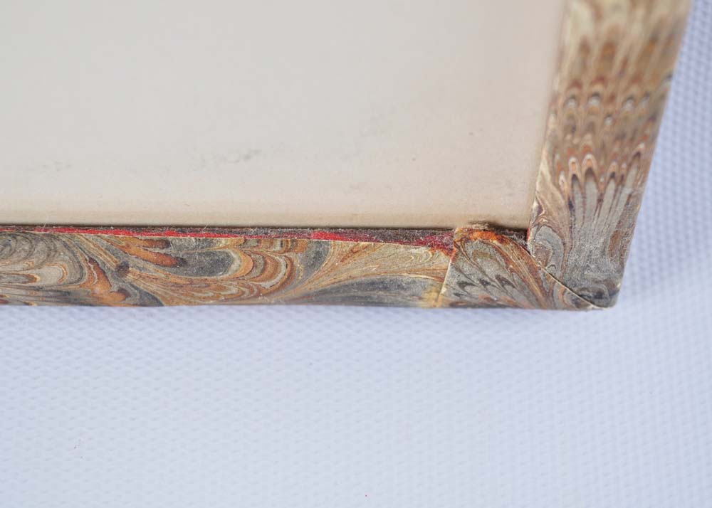 Framed Giclee Prints of Birds