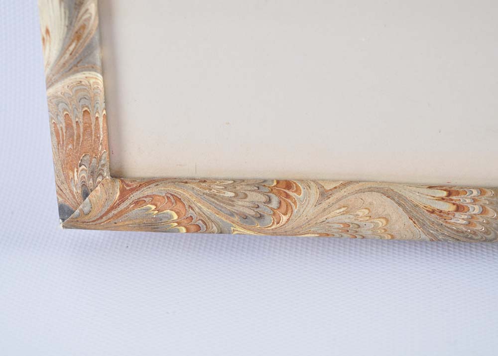 Framed Giclee Prints of Birds