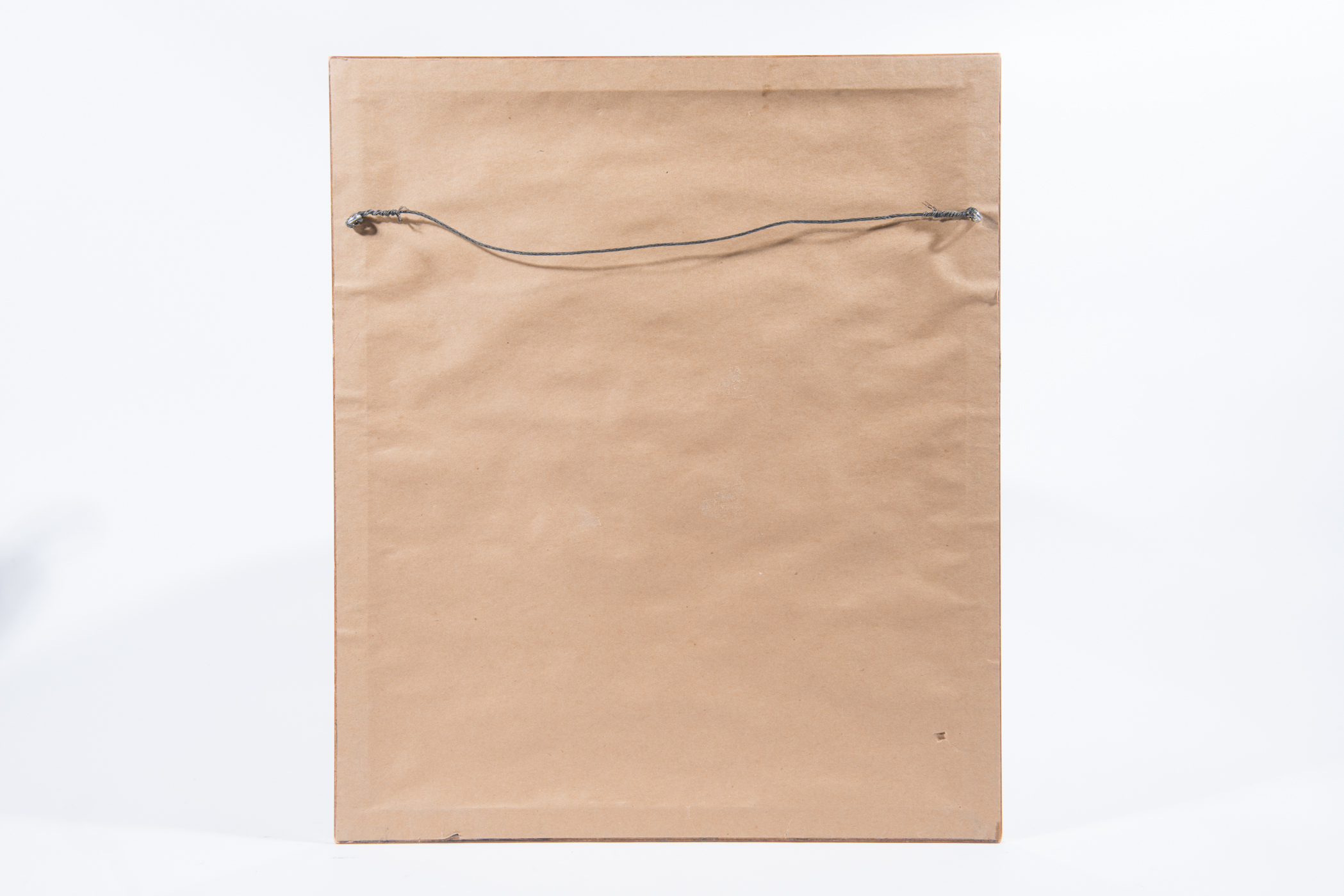 Lithograph of Various Stages of a Butterfly's Life