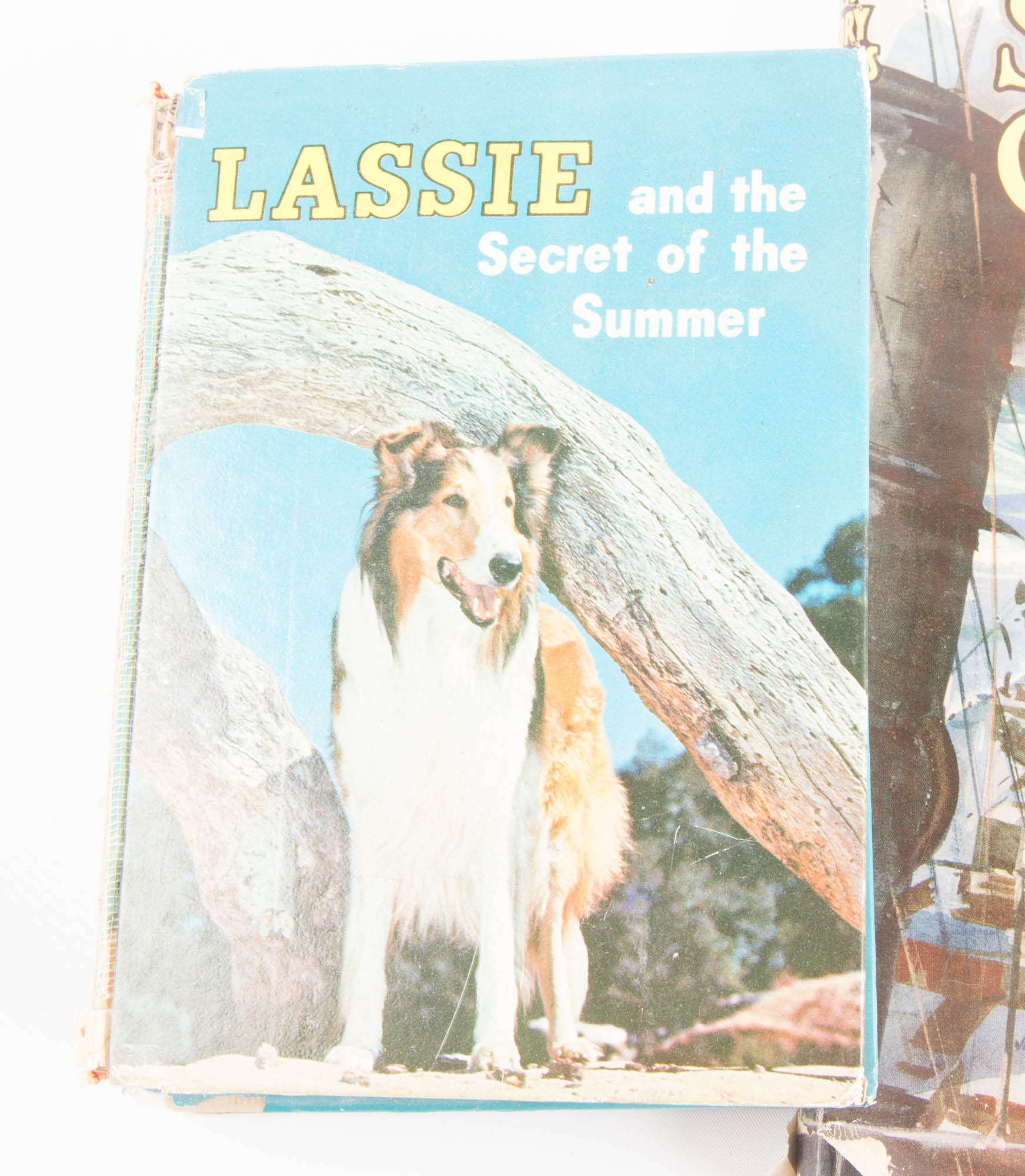 Collection of Vintage Young Adult Fiction