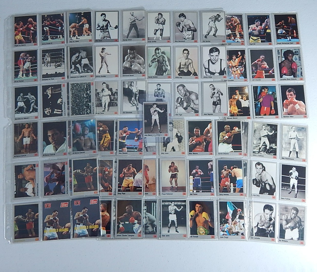 1991 All World Boxing Cards