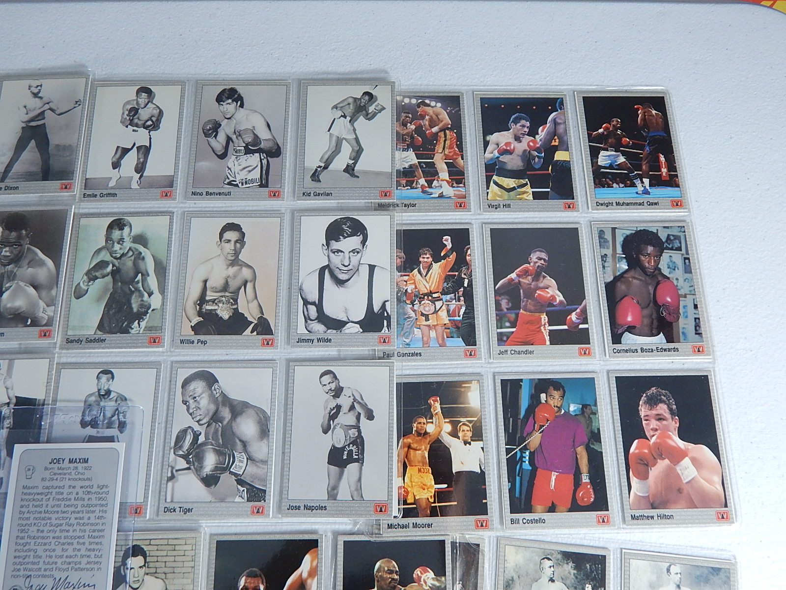 1991 All World Boxing Cards