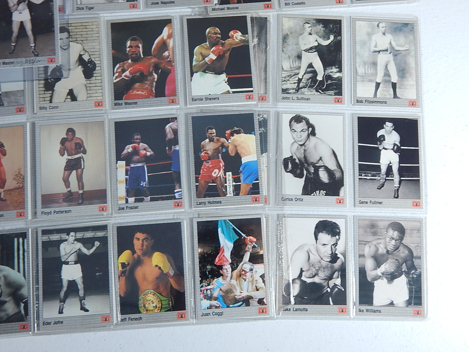 1991 All World Boxing Cards