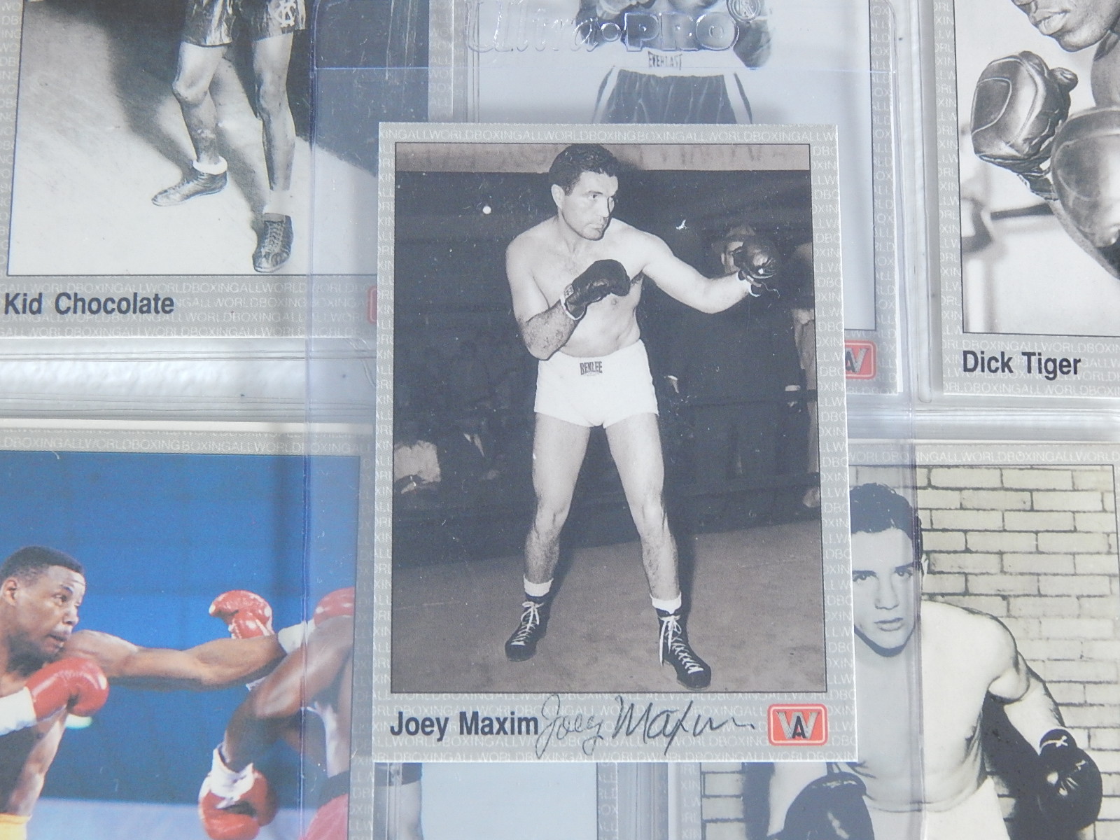 1991 All World Boxing Cards