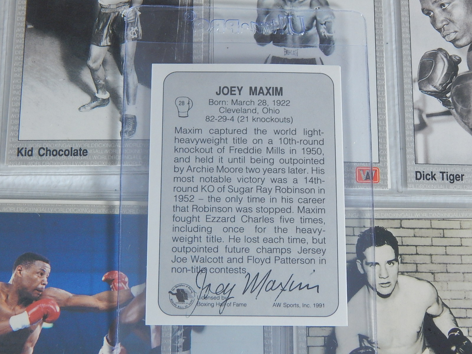 1991 All World Boxing Cards