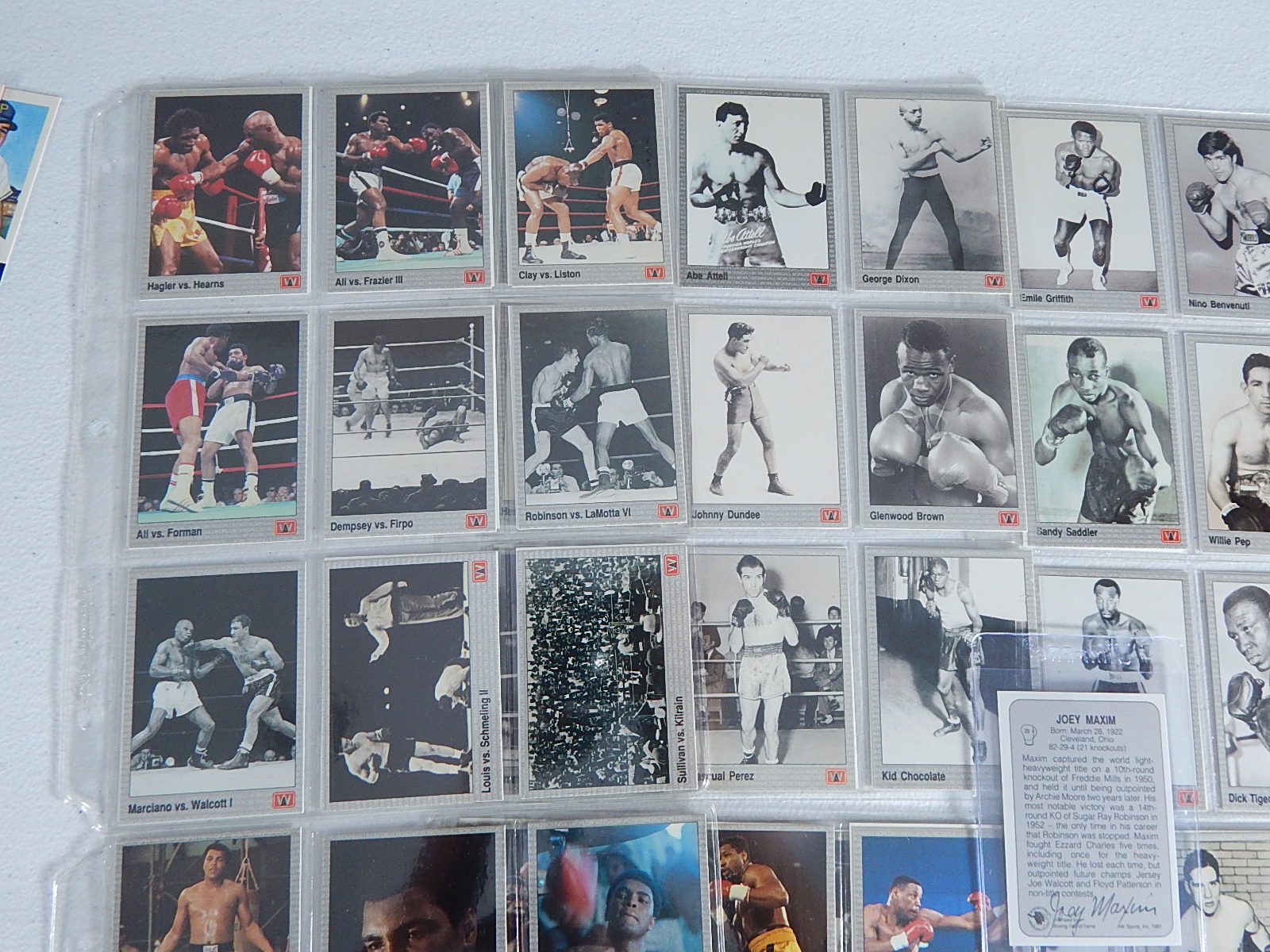 1991 All World Boxing Cards