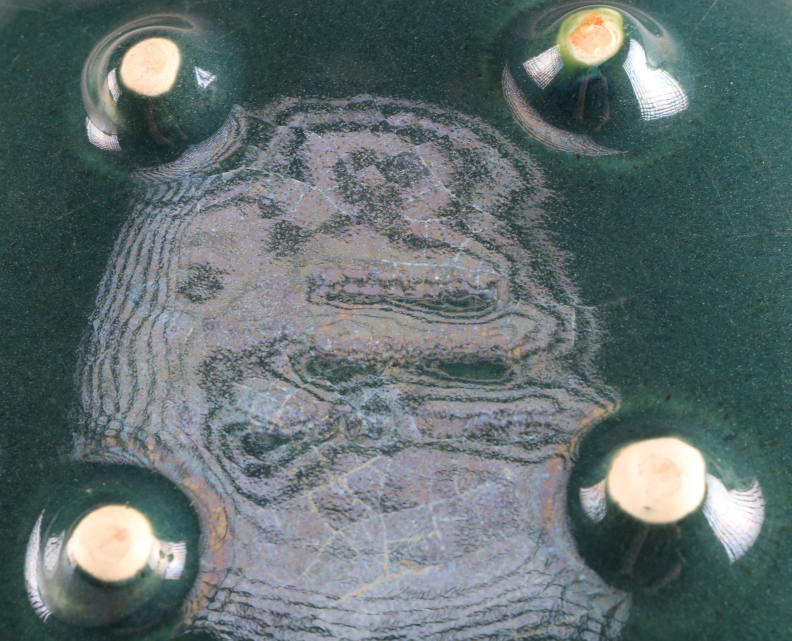 Eclectic Assortment of Kitchen Items Both Newer and Vintage