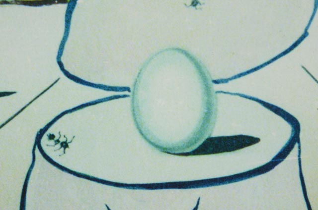 Salvador Dali Limited Edition Giclee Reproduction "Birth of Venus"