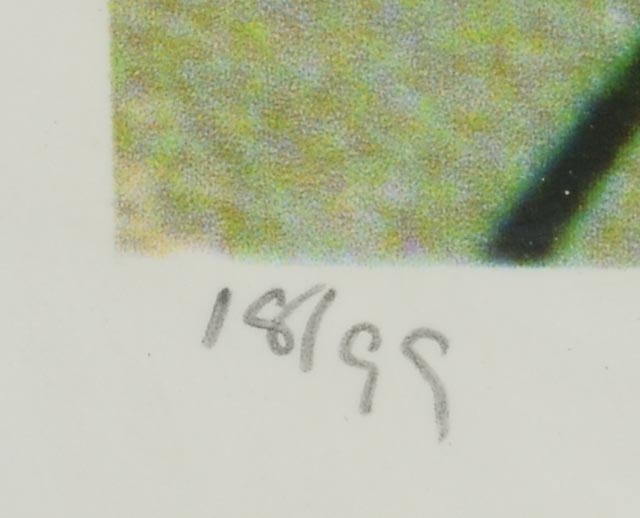 Salvador Dali Limited Edition Giclee Reproduction "Birth of Venus"