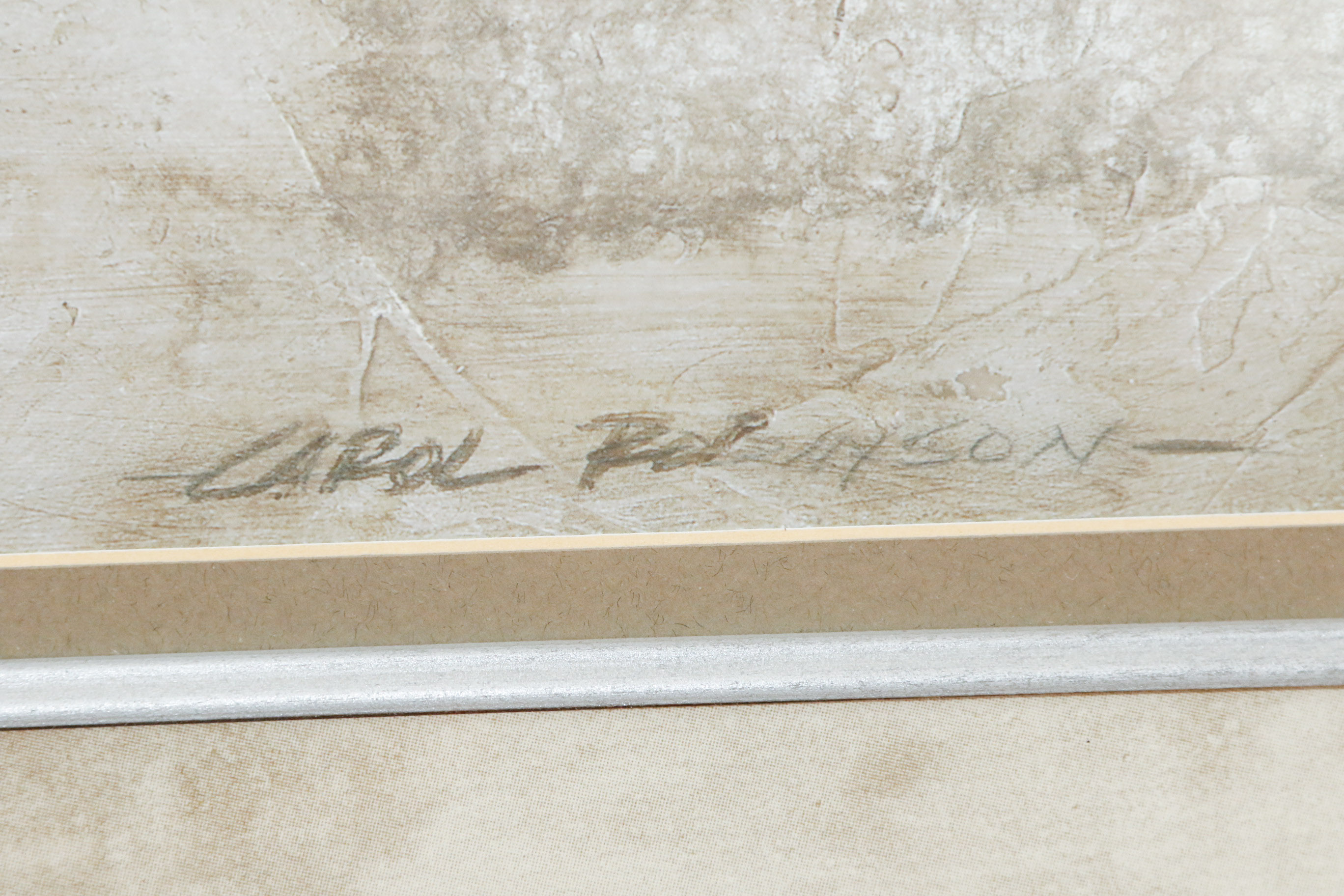 Large Framed Art Print by Carol Robinson