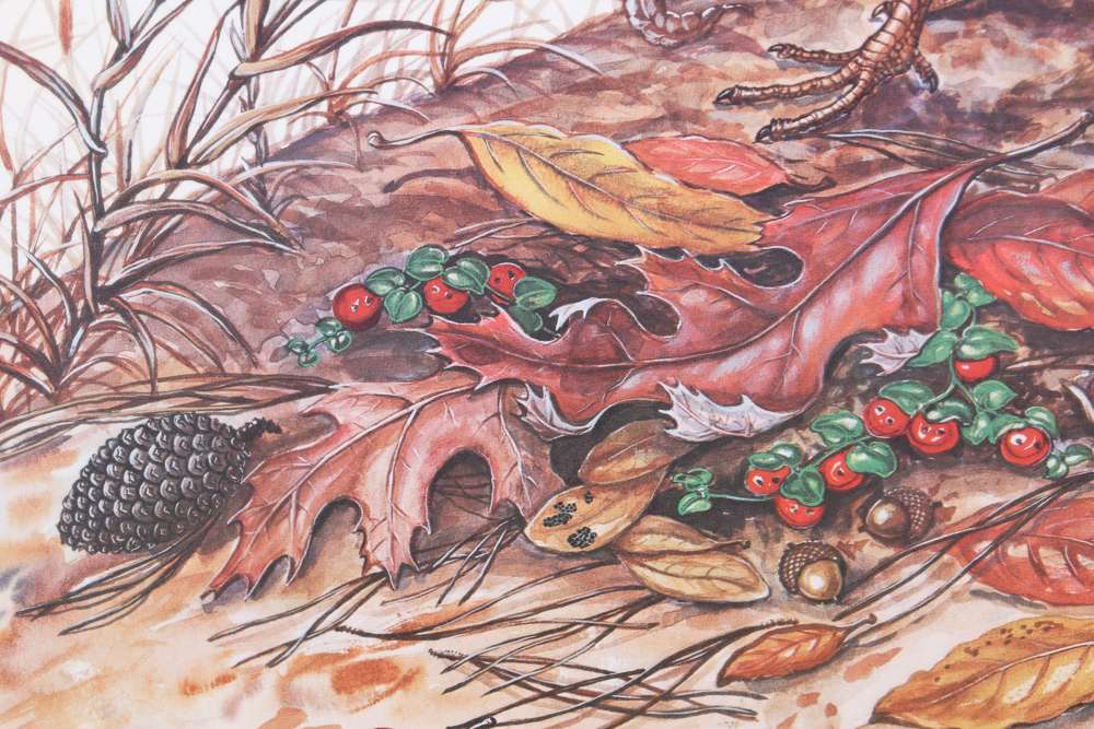 Anne Worsham Richardson Signed and Numbered "Bobwhite" Print