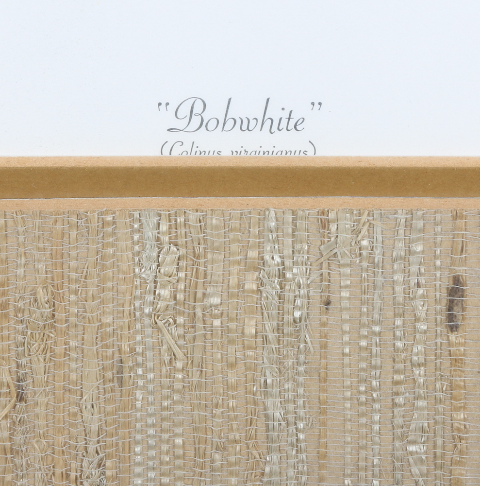 Anne Worsham Richardson Signed and Numbered "Bobwhite" Print