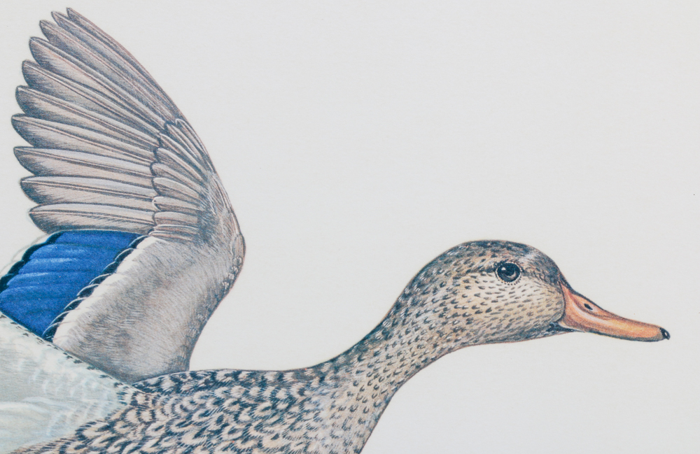 Anne Worsham Richardson Singed and Numbered Print "Mallards"