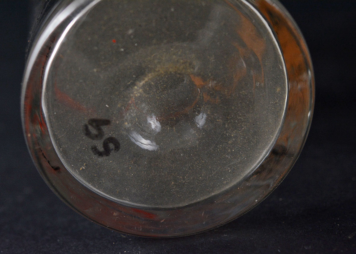 Johnny Hart's BC Comic Glass Drinkware