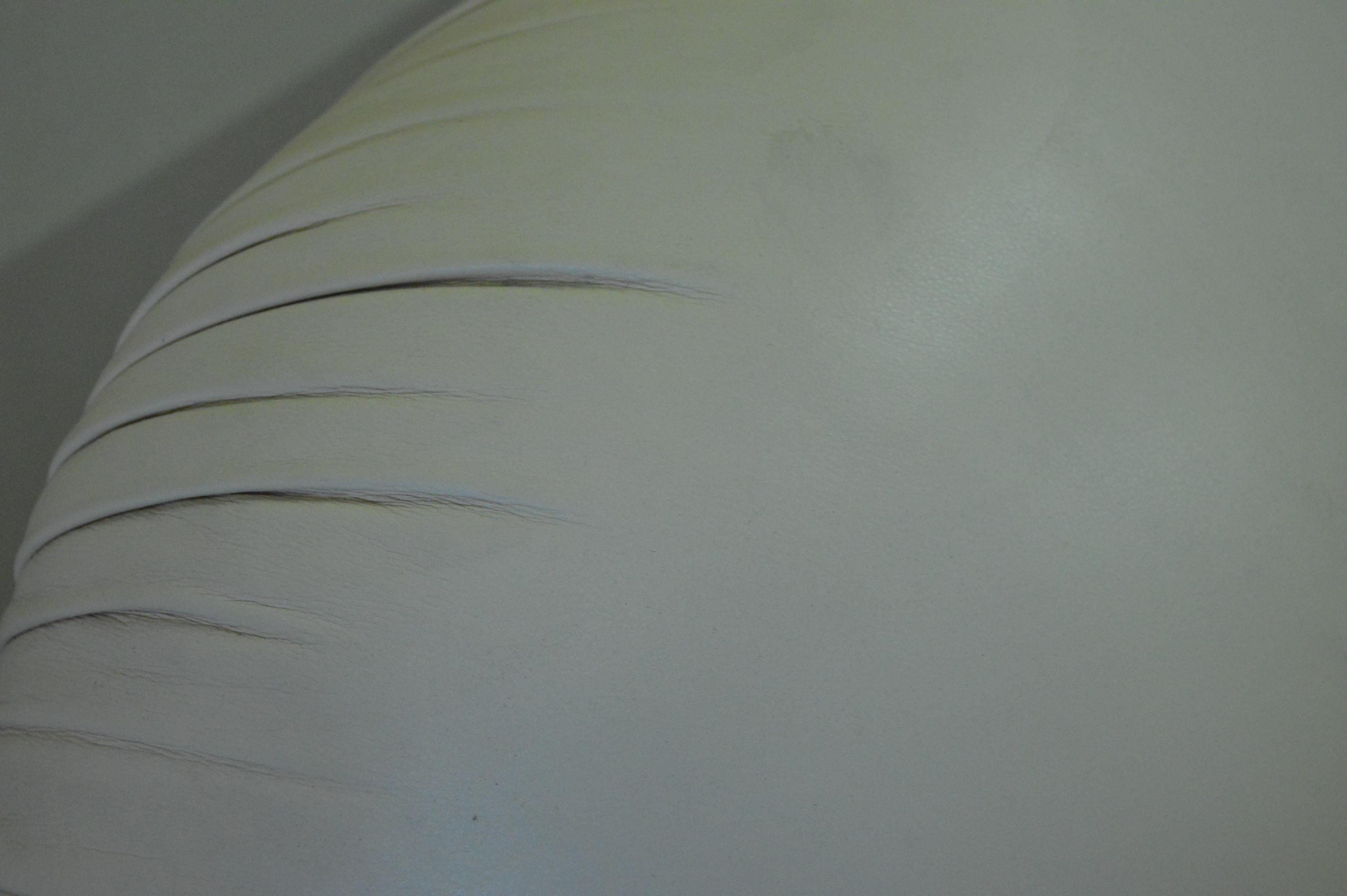 Royal Custom Designs Leather Sofa