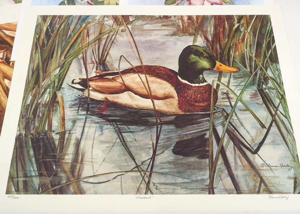 Elaine Speed Neeley Limited Edition Prints