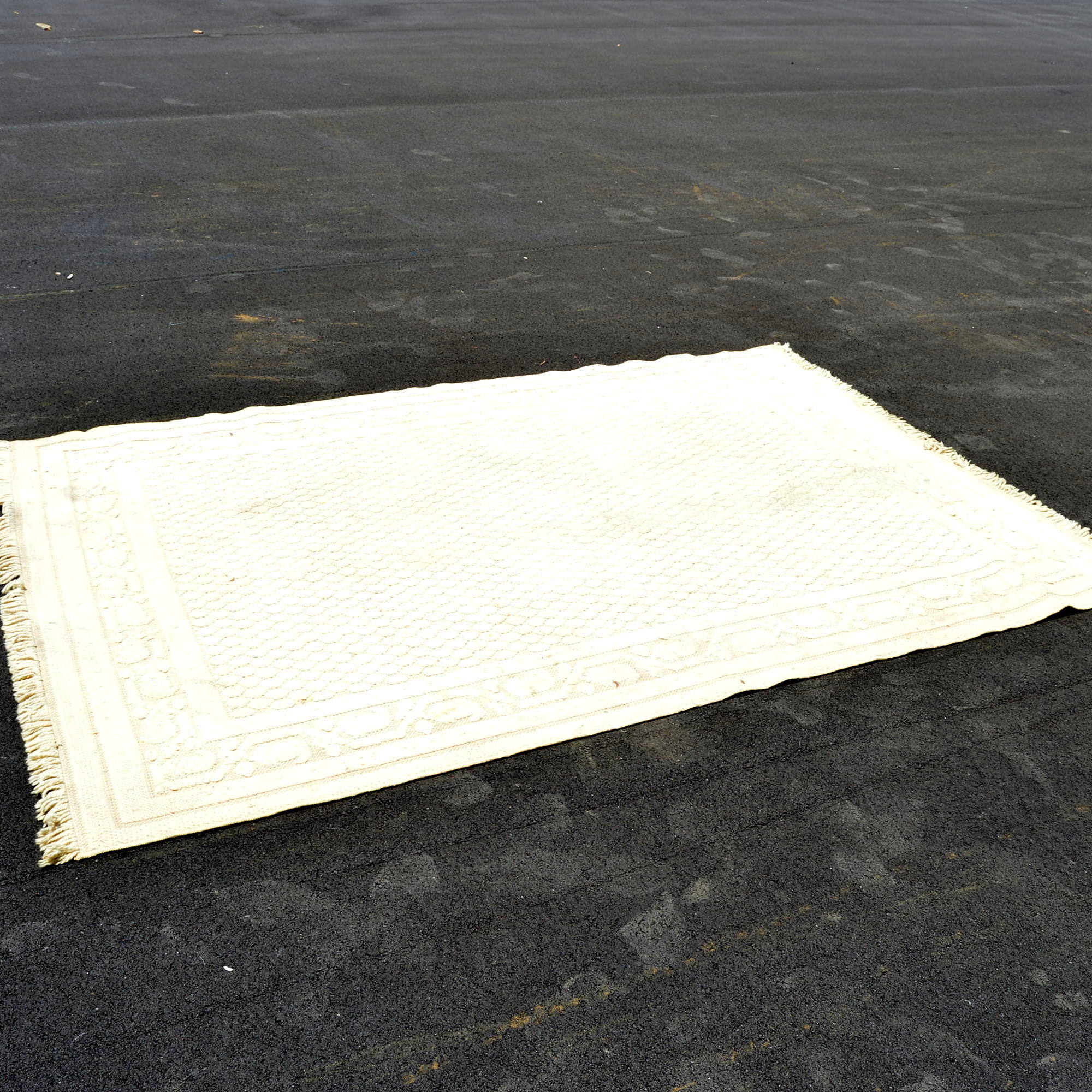 Power-Loomed Couristan Wool Pile Rug