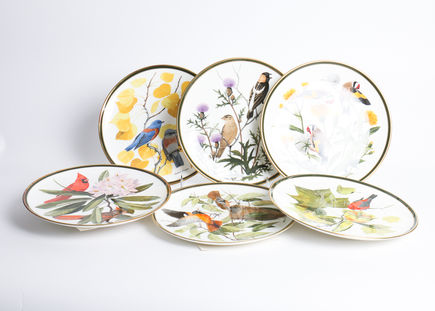 Collection Of Songbirds Of The World Porcelain Collector's Plates