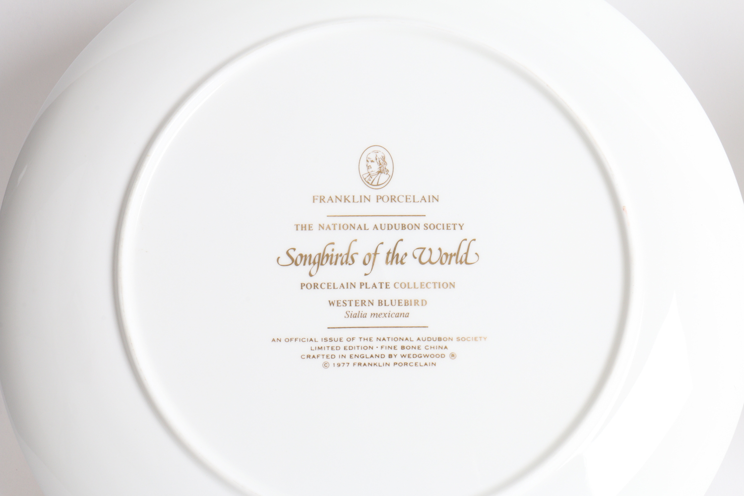 Collection Of Songbirds Of The World Porcelain Collector's Plates