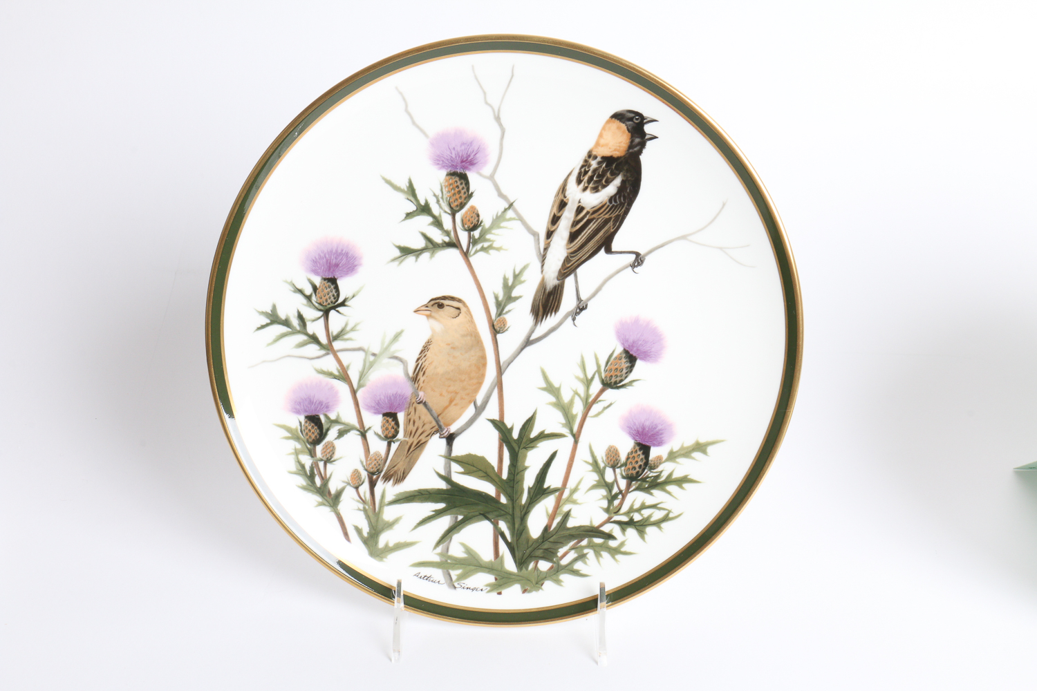 Collection Of Songbirds Of The World Porcelain Collector's Plates