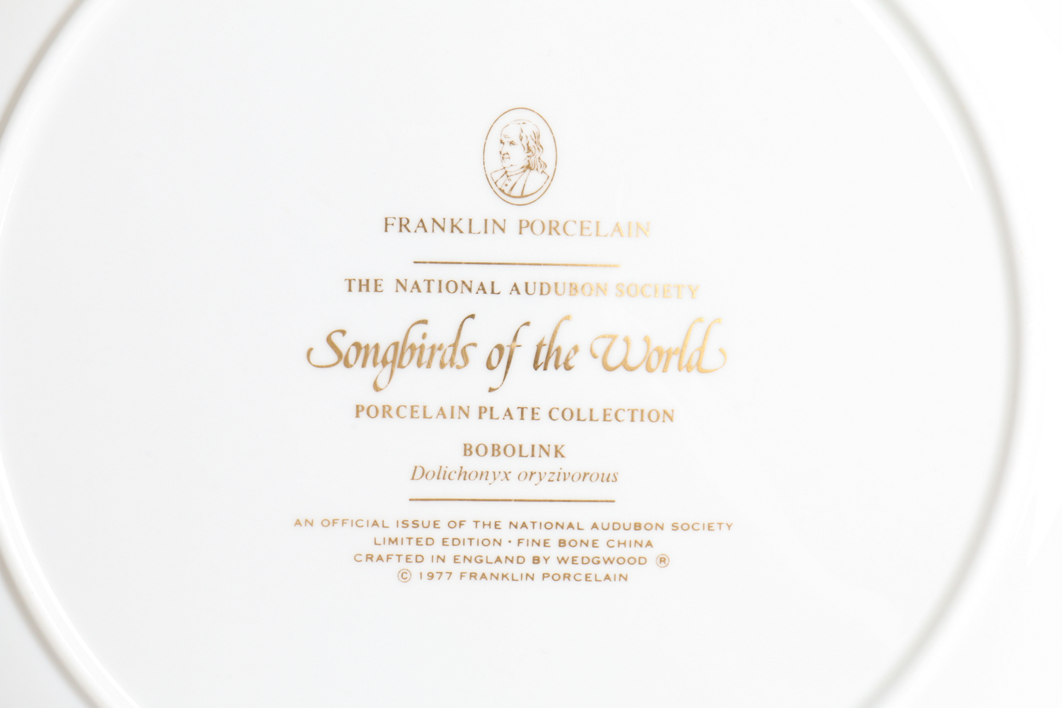 Collection Of Songbirds Of The World Porcelain Collector's Plates