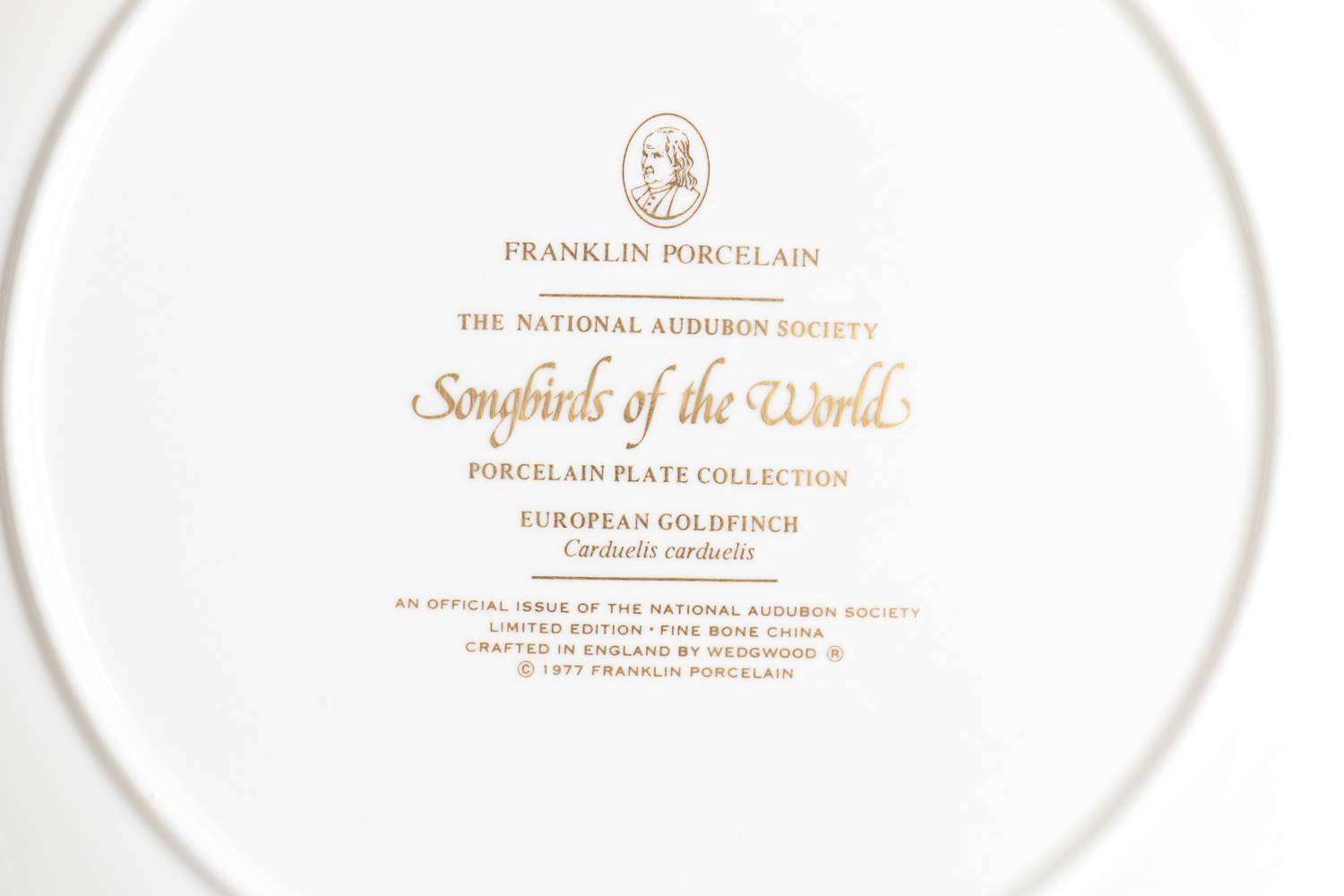 Collection Of Songbirds Of The World Porcelain Collector's Plates