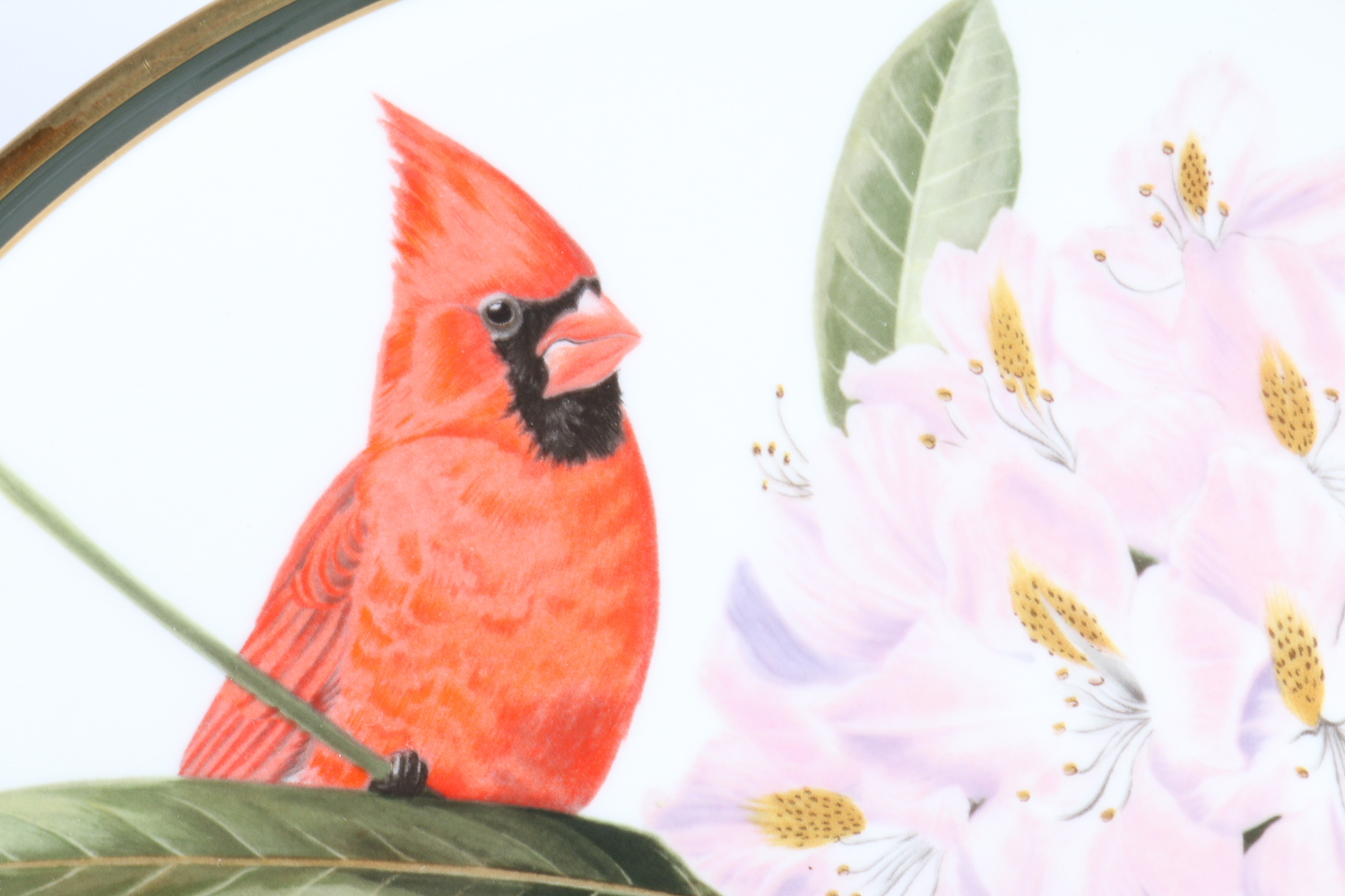 Collection Of Songbirds Of The World Porcelain Collector's Plates