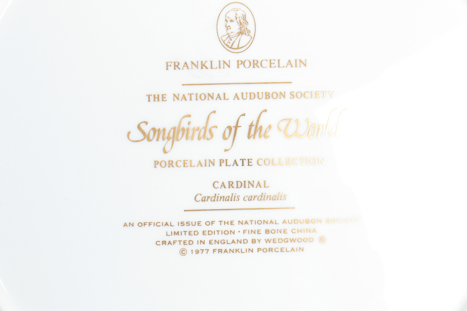 Collection Of Songbirds Of The World Porcelain Collector's Plates