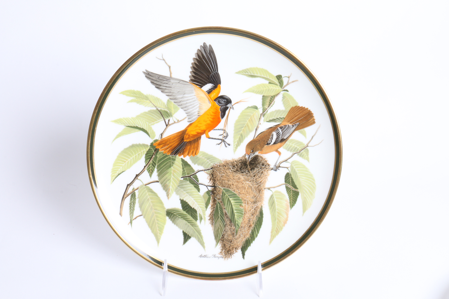Collection Of Songbirds Of The World Porcelain Collector's Plates