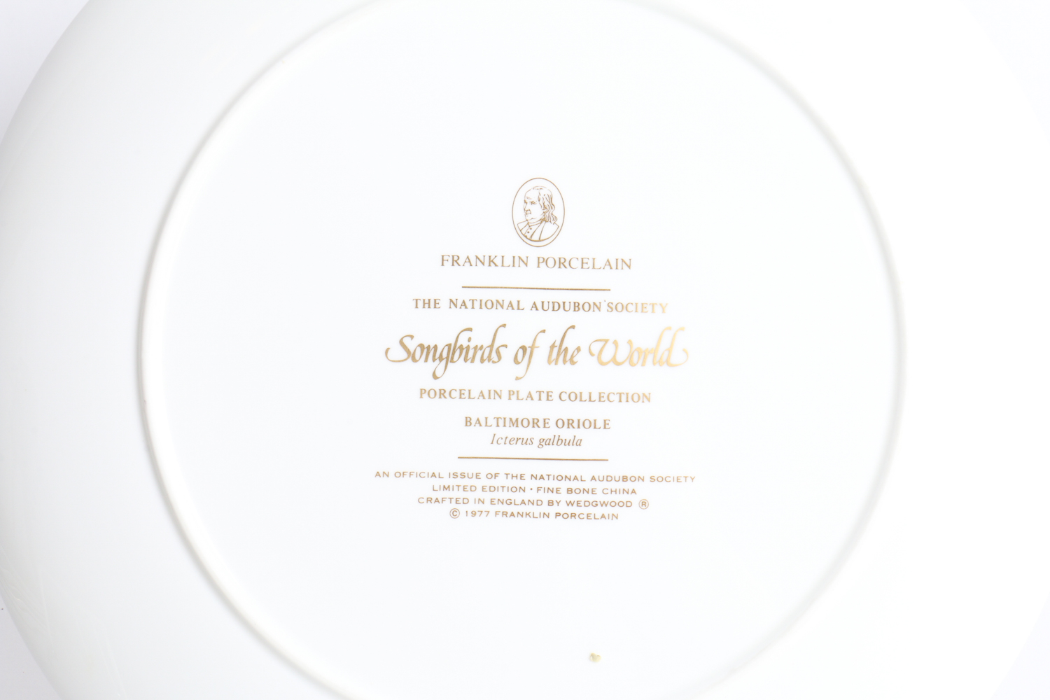 Collection Of Songbirds Of The World Porcelain Collector's Plates