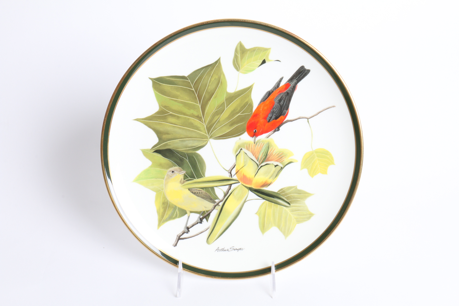 Collection Of Songbirds Of The World Porcelain Collector's Plates