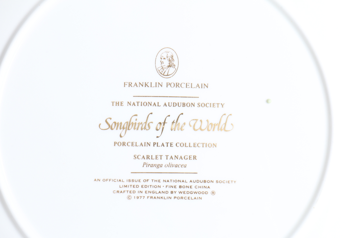 Collection Of Songbirds Of The World Porcelain Collector's Plates
