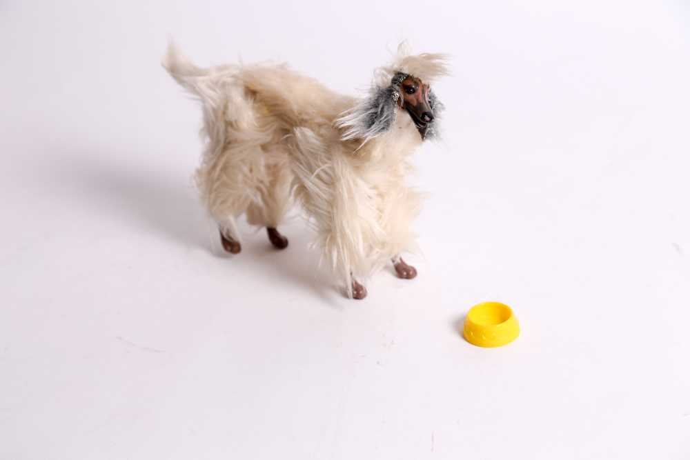 Huge Collection of Vintage Barbie® Dolls and Accessories