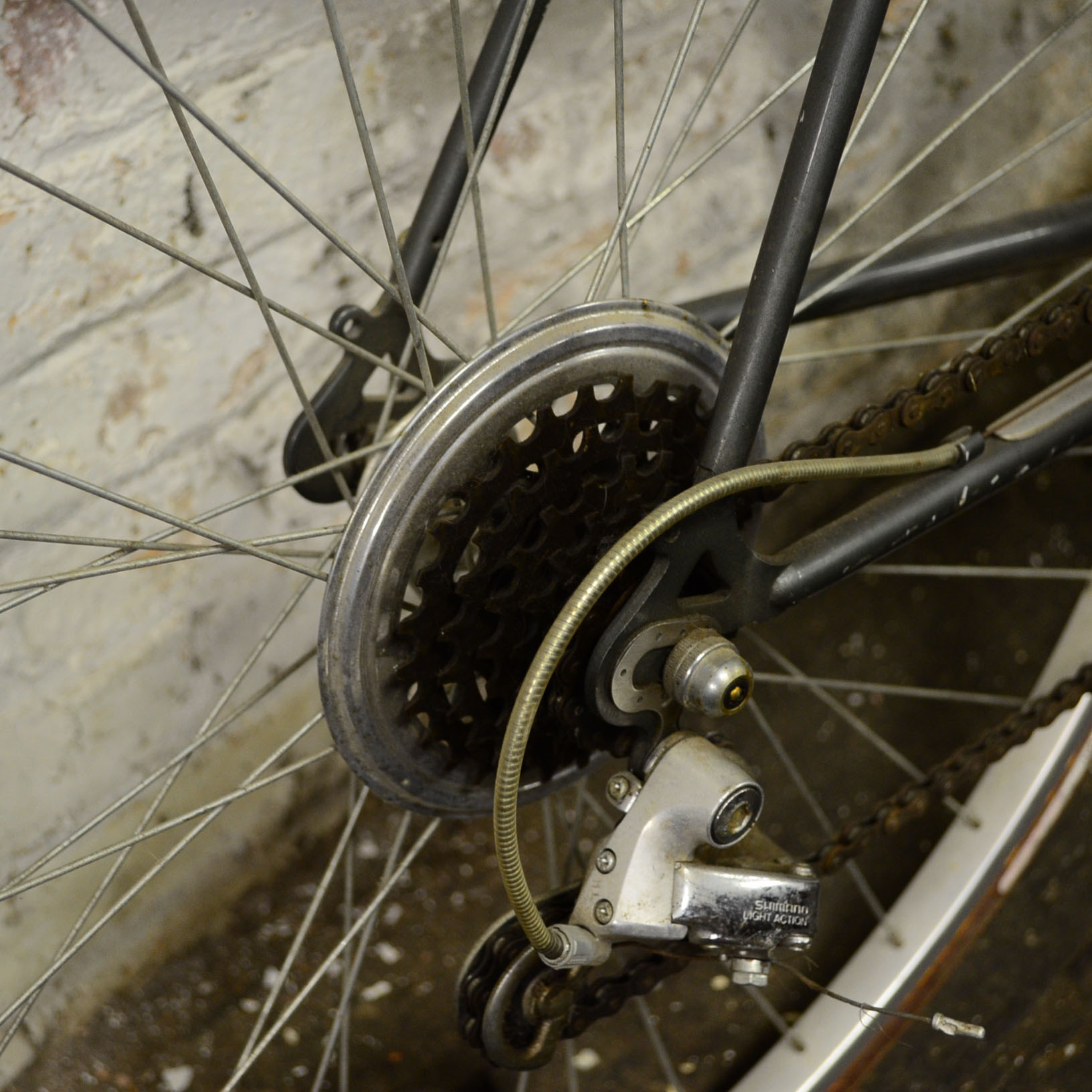 Ladies Schwinn World Sport Bike