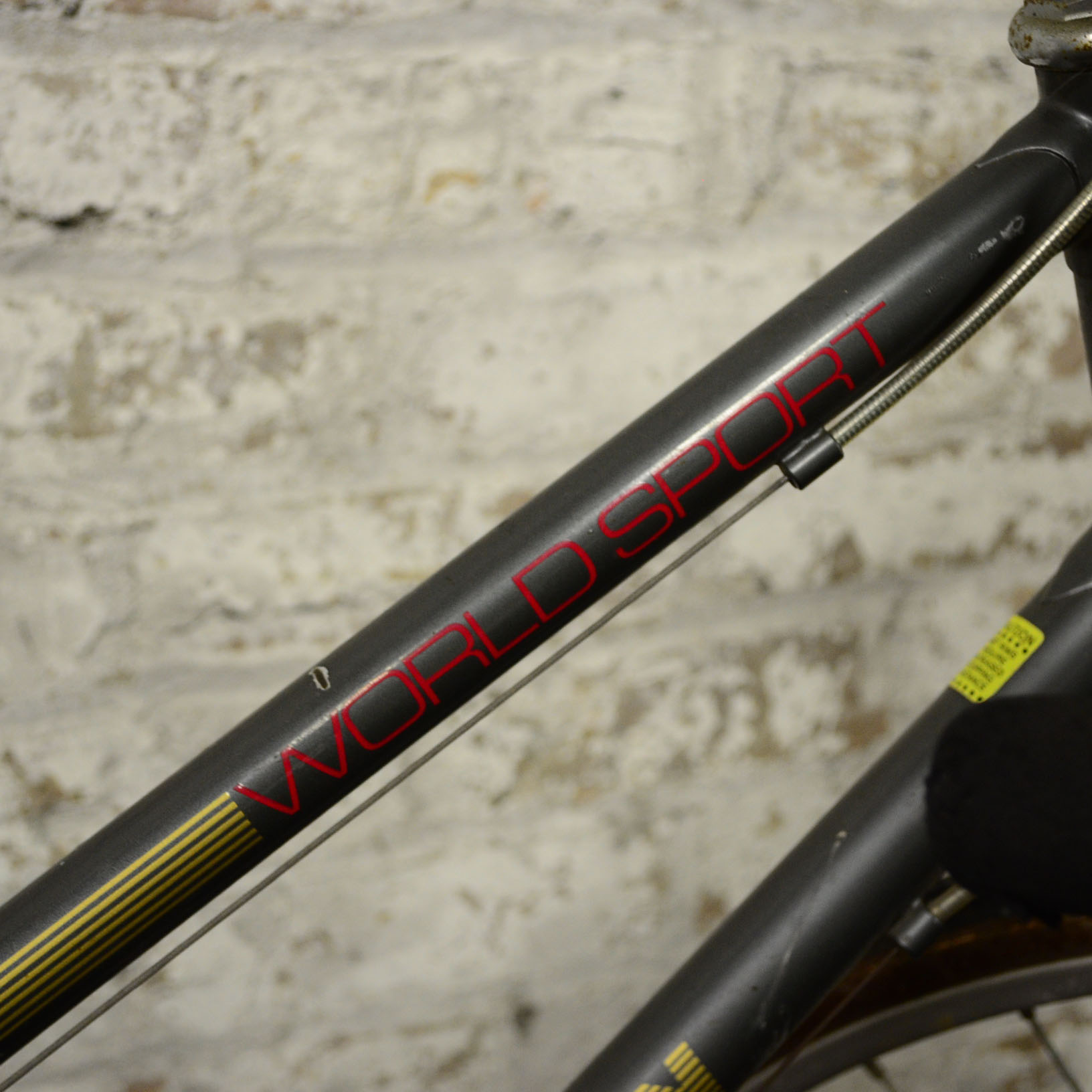 Ladies Schwinn World Sport Bike