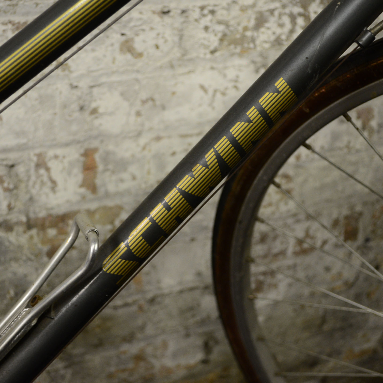 Ladies Schwinn World Sport Bike