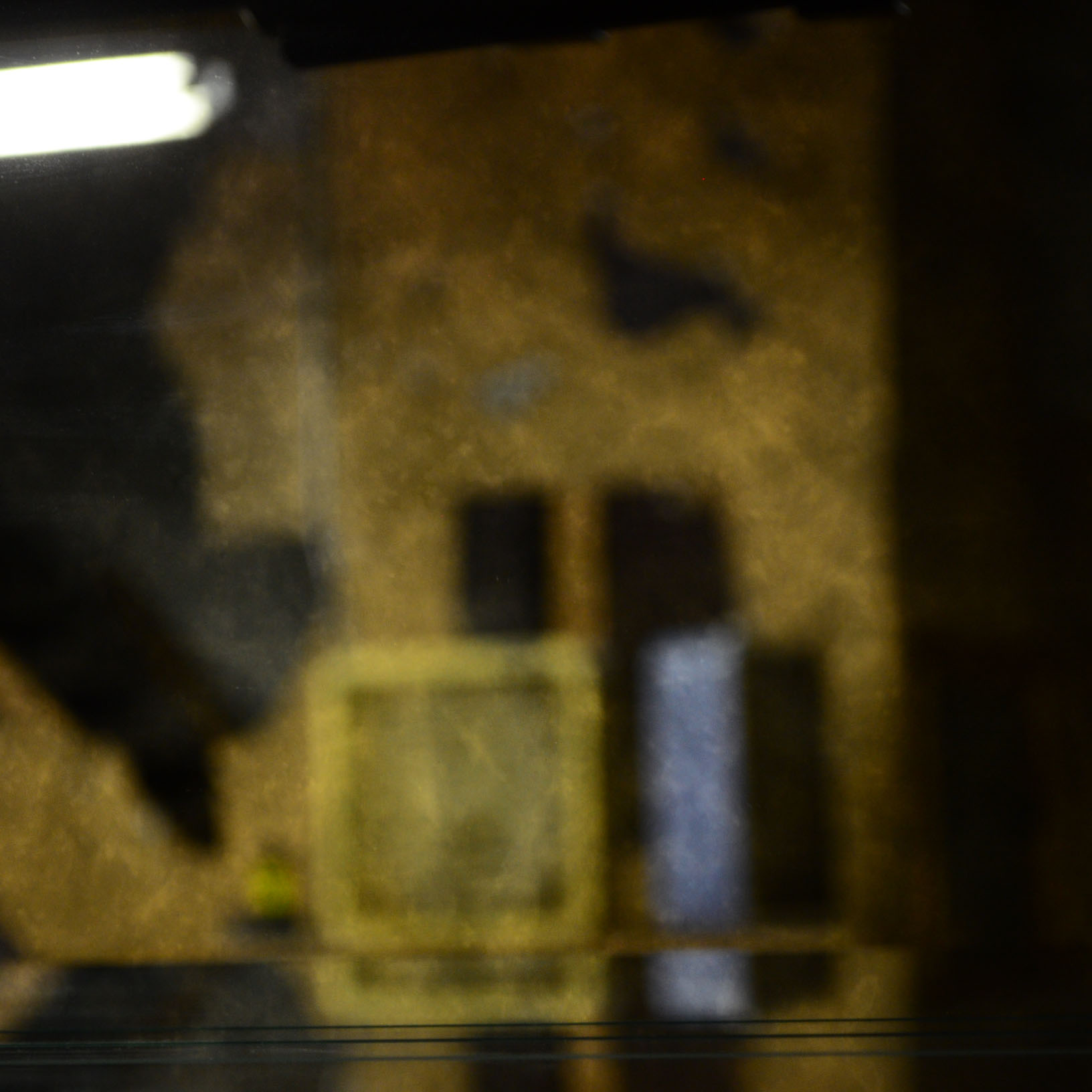 Asian Inspired Curio Cabinet