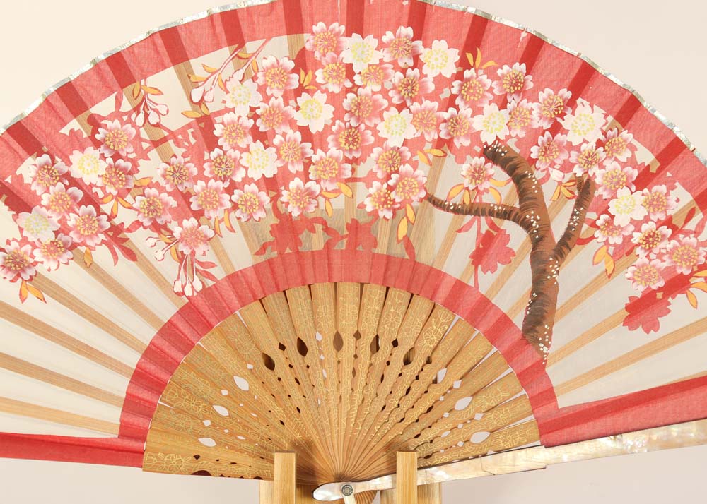 Collection of Asian Paper Fans